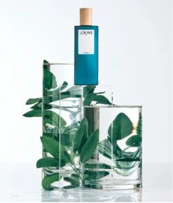 Loewe - Herenparfum - 7 Cobalt - Eau De Parfum 100 Ml -Parfum Speciaal Winkel 1026x1200 1