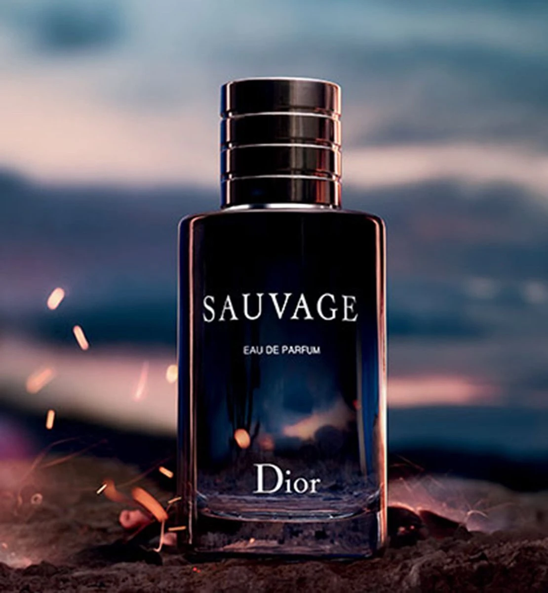 Dior Sauvage 100 Ml - Eau De Parfum - Herenparfum 2 Dior Sauvage 100 Ml - Eau De Parfum - Herenparfum - Afbeelding 2