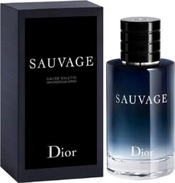 Dior Sauvage 60 Ml - Eau De Toilette - Herenparfum -Parfum Speciaal Winkel 1151x1200 2