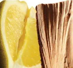 L'homme Cologne Bleue By Yves Saint Laurent 60 Ml - Eau De Toilette Spray -Parfum Speciaal Winkel 1200x1114 8