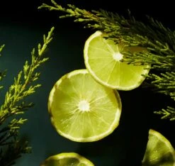 RITUALS Life Is A Journey - Homme Car Perfume - 6 Ml 9 RITUALS Life Is A Journey - Homme Car Perfume - 6 Ml -Parfum Speciaal Winkel 1200x1136 3