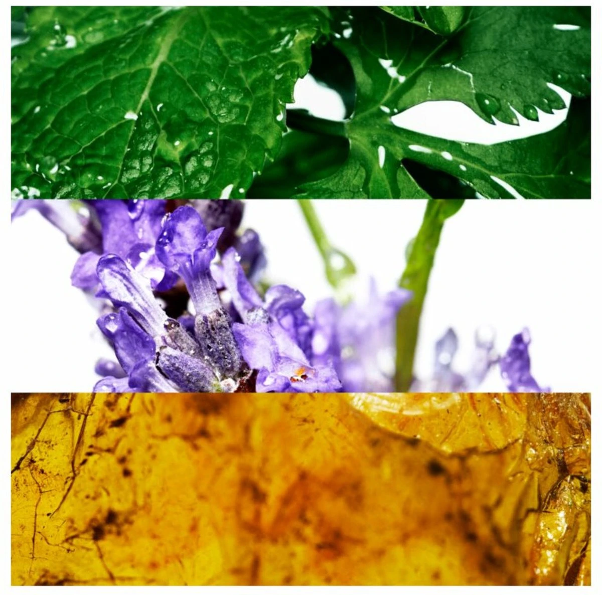 Davidoff Cool Water 125 Ml - Eau De Toilette - Herenparfum 4 Davidoff Cool Water 125 Ml - Eau De Toilette - Herenparfum - Afbeelding 4