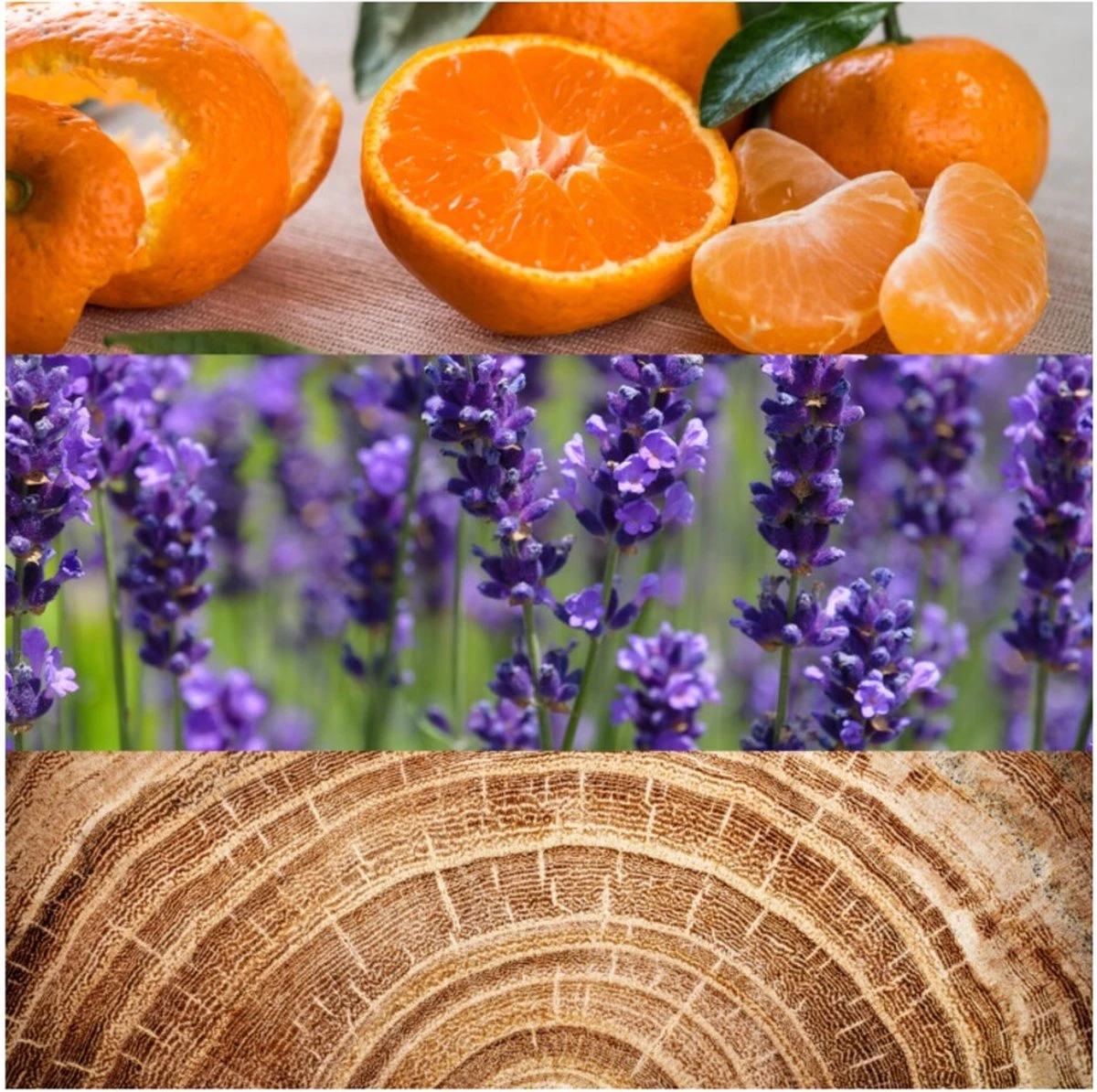 Calvin Klein Obsession 125 Ml - Eau De Toilette - Herenparfum 3 Calvin Klein Obsession 125 Ml - Eau De Toilette - Herenparfum - Afbeelding 3