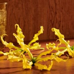 Gucci Guilty Pour Femme Eau De Parfum Intense 12 Gucci Guilty Pour Femme Eau De Parfum Intense -Parfum Speciaal Winkel 1200x1200 151