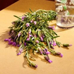 Gucci Guilty Pour Homme Parfum -Parfum Speciaal Winkel 1200x1200 378