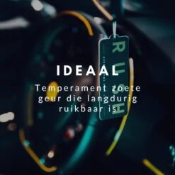 RUSH Autoparfum Sweet Sense - Auto Geurverfrisser - Parfum Voor Dames En Heren -Parfum Speciaal Winkel 1200x1200 533