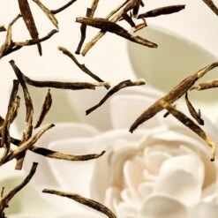 RITUALS Life Is A Journey - Karma Car Perfume - 6 G -Parfum Speciaal Winkel 1200x1200 541