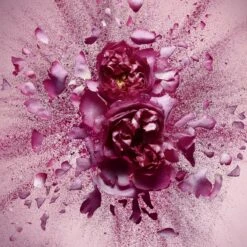 Viktor & Rolf Flowerbomb Nectar 50 Ml - Eau De Parfum - Damesparfum -Parfum Speciaal Winkel 1200x1200 59