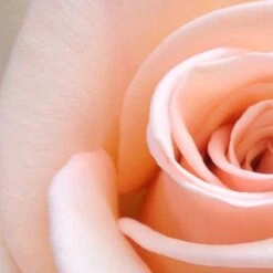 Spider-Man Geschenkset - Eau De Toilette 100 Ml & Douchegel 60 Ml - Met Toilettas 18 Spider-Man Geschenkset - Eau De Toilette 100 Ml & Douchegel 60 Ml - Met Toilettas -Parfum Speciaal Winkel 1200x1200 675