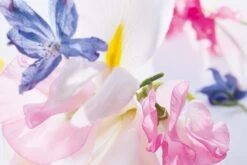 Dior Miss Vrouwen 100 Ml - Eau De Parfum - Damesparfum -Parfum Speciaal Winkel 1200x800 8