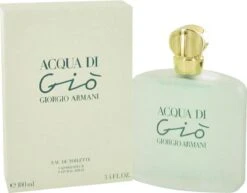 Giorgio Armani Acqua Di Giò - 100ml - Eau De Toilette -Parfum Speciaal Winkel 1200x937