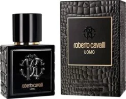 Roberto Cavalli Uomo Eau De Toilette Spray 100 Ml 25 Roberto Cavalli Uomo Eau De Toilette Spray 100 Ml -Parfum Speciaal Winkel 1200x940 1