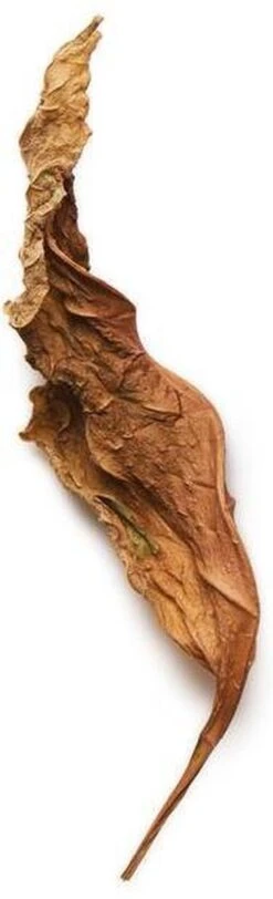 Giorgio Armani Acqua Di Gio Profumo 125 Ml - Eau De Parfum - Herenparfum -Parfum Speciaal Winkel 365x1200 2