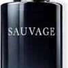 Dior Sauvage 100 Ml - Eau De Toilette - Herenparfum