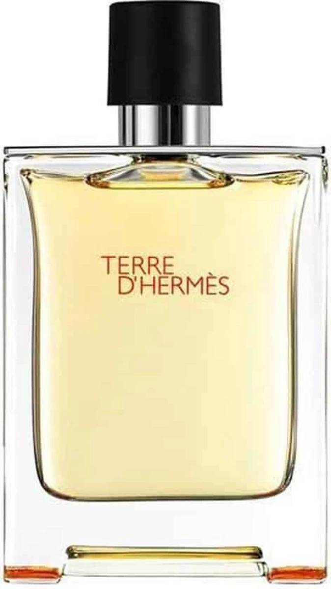 Hermes Terre D'Hermes 100 Ml - Eau De Toilette - Herenparfum 3 Hermes Terre D'Hermes 100 Ml - Eau De Toilette - Herenparfum - Afbeelding 3