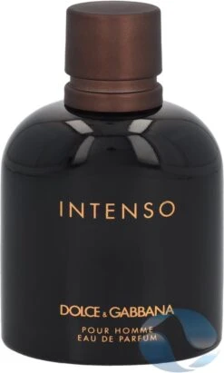 Dolce & Gabbana - Intenso Pour Homme - Eau De Parfum - 125ML -Parfum Speciaal Winkel 721x1200 2
