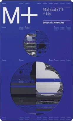 Escentric Molecules - Eau De Toilette - Molecule 01 + Iris - 100 Ml 13 Escentric Molecules - Eau De Toilette - Molecule 01 + Iris - 100 Ml -Parfum Speciaal Winkel 725x1200 1