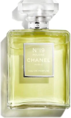 Chanel N°19 Poudré 100 Ml - Eau De Parfum - Damesparfum