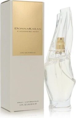 DKNY Donna Karan Cashmere Mist Eau De Parfum Spray 30 Ml For Women