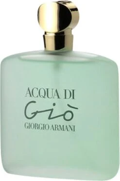 Giorgio Armani Acqua Di Giò - 100ml - Eau De Toilette -Parfum Speciaal Winkel 800x1200