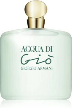 Giorgio Armani Acqua Di Giò - 100ml - Eau De Toilette -Parfum Speciaal Winkel 805x1200