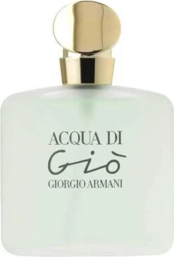 Giorgio Armani Acqua Di Giò - 100ml - Eau De Toilette -Parfum Speciaal Winkel 815x1200 1