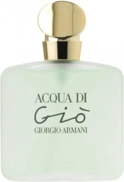 Giorgio Armani Acqua Di Giò - 100ml - Eau De Toilette -Parfum Speciaal Winkel 816x1200