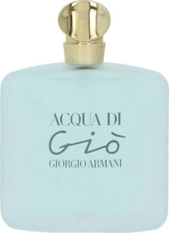 Giorgio Armani Acqua Di Giò - 100ml - Eau De Toilette -Parfum Speciaal Winkel 872x1200