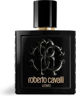 Roberto Cavalli Uomo Eau De Toilette Spray 100 Ml 28 Roberto Cavalli Uomo Eau De Toilette Spray 100 Ml -Parfum Speciaal Winkel 952x1200 1